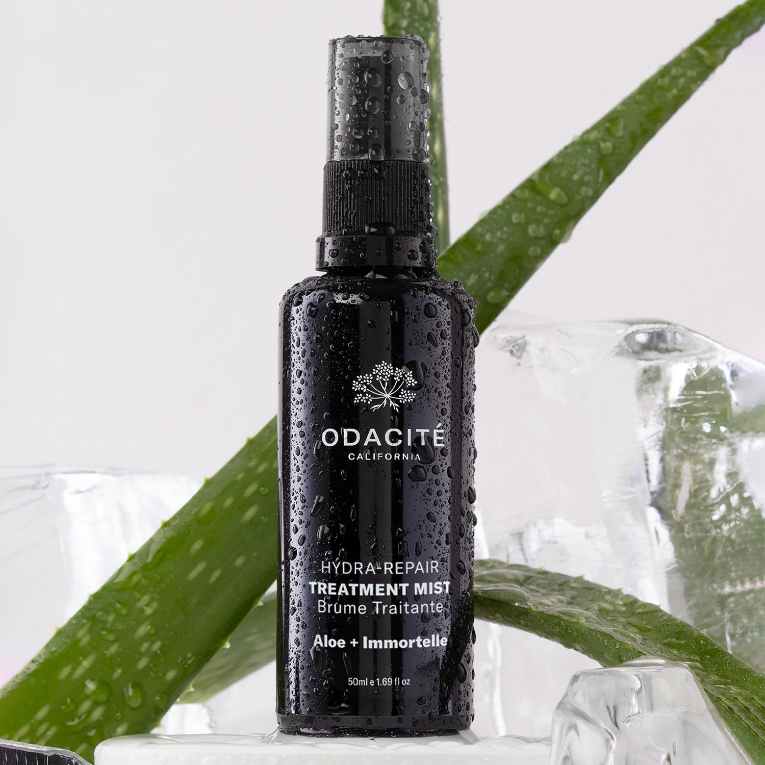 Brume Traitante Hydra-Repair
