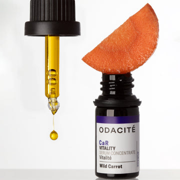 Vitalité • Carotte sauvage • Concentré de sérum CaR