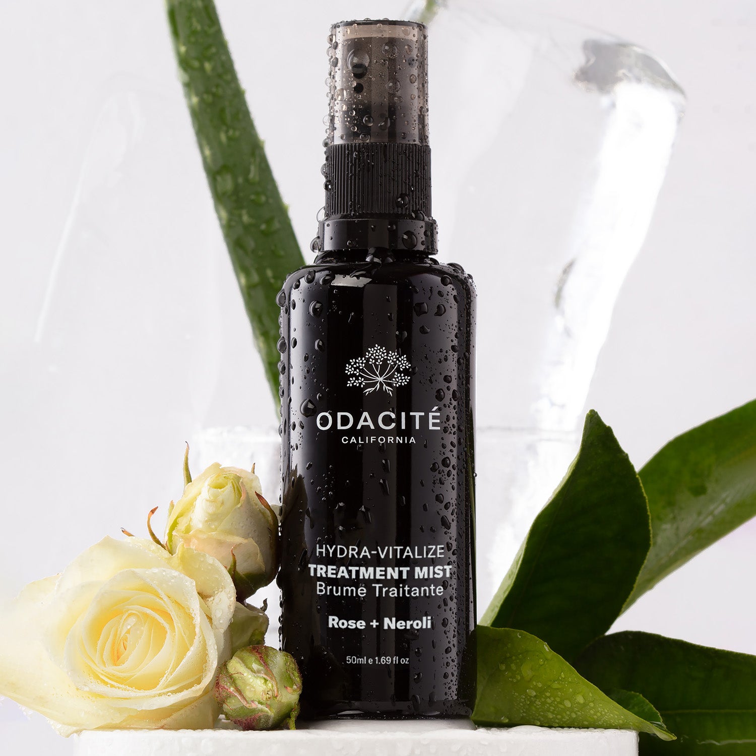Brume Traitante Hydra-Vitalize